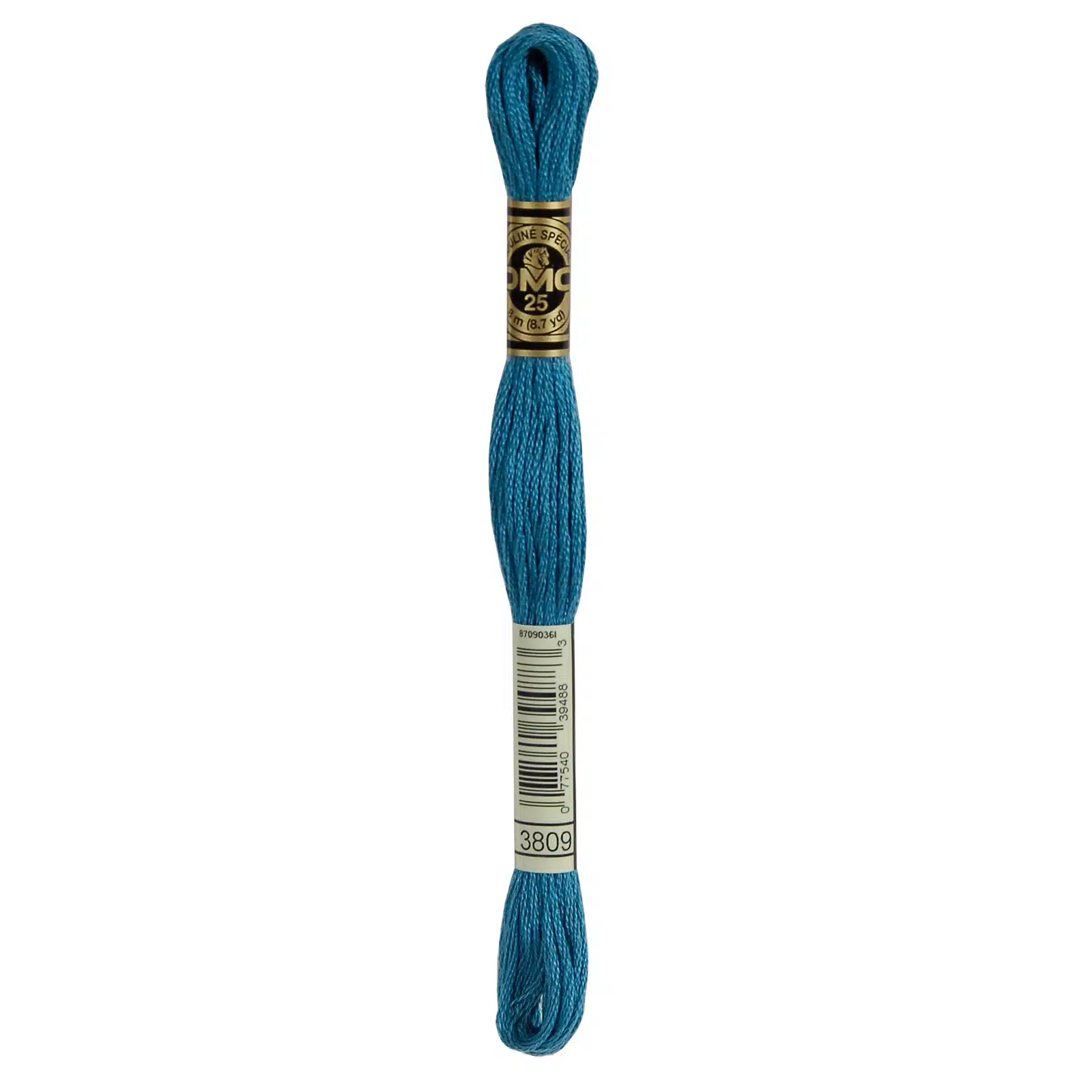 DMC 117MC-3809 Aqua Groen