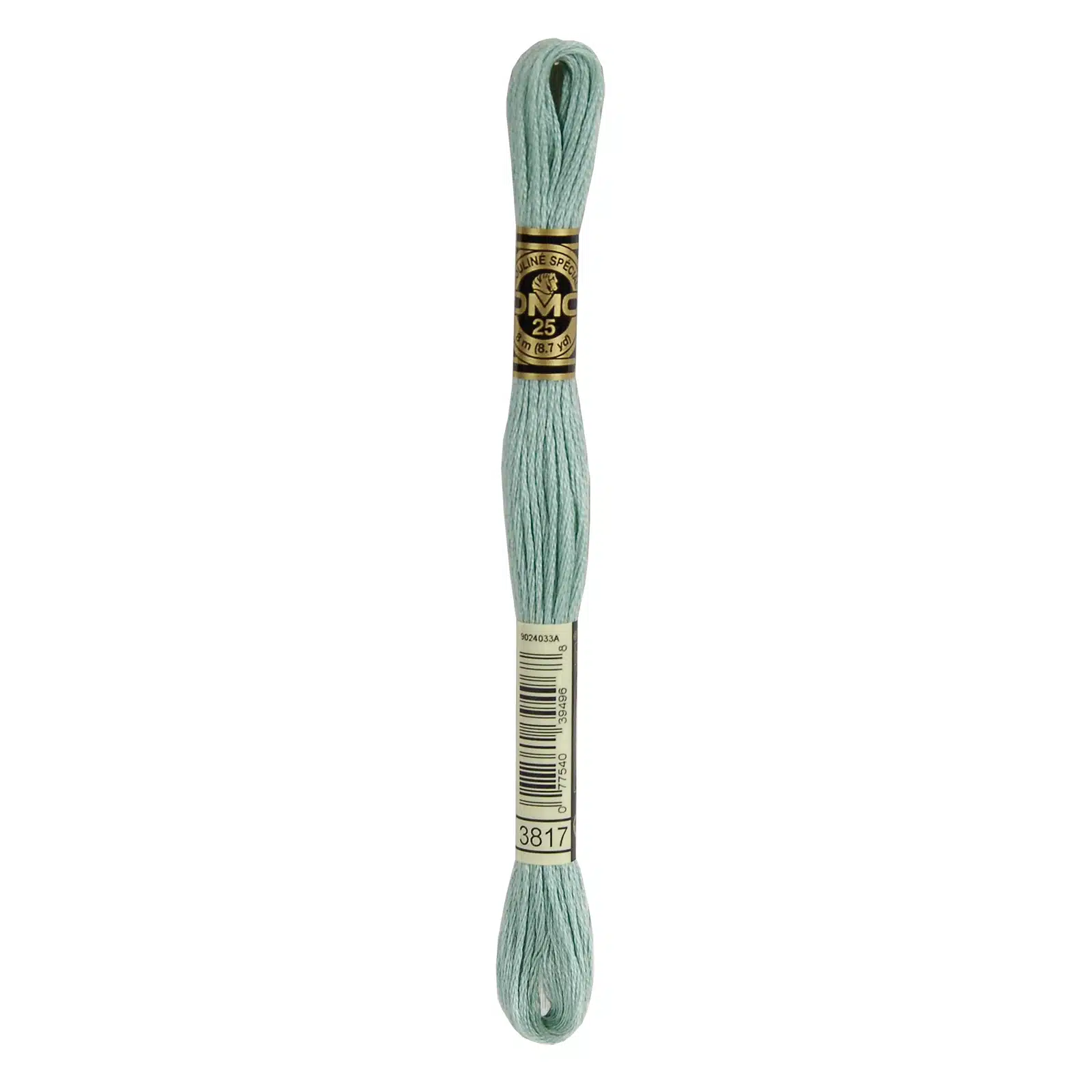 DMC 117MC-3817 Licht Groen