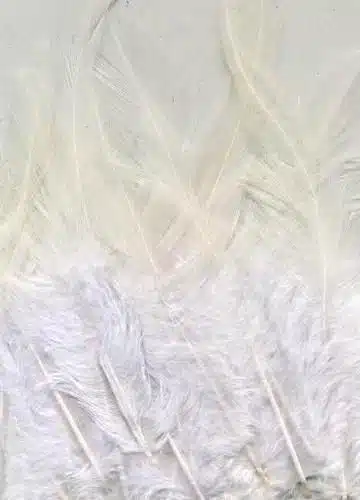 15st Marabou Veertjes 9-15cm Wit