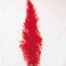 Struisveer Middel Spadona Rood 35-45cm