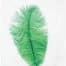 Veer Klein 30-40cm Groen