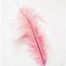 Veer Klein 30-40cm Licht Roze