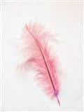 Veer Klein 30-40cm Licht Roze