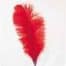Veer Klein 30-40cm Rood
