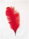 Veer Klein 30-40cm Rood