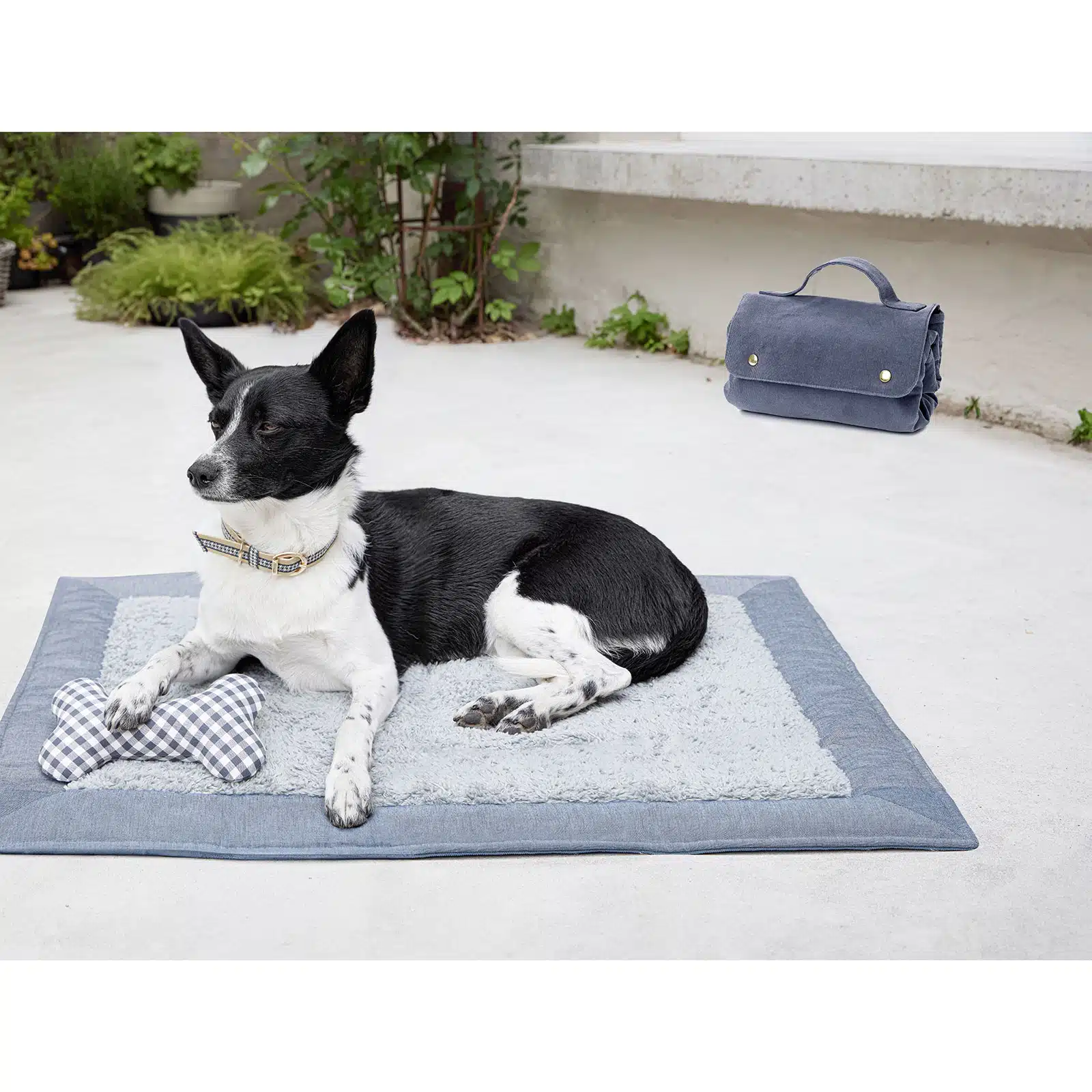 Burda Patroon 5702 - Honden Accessoires