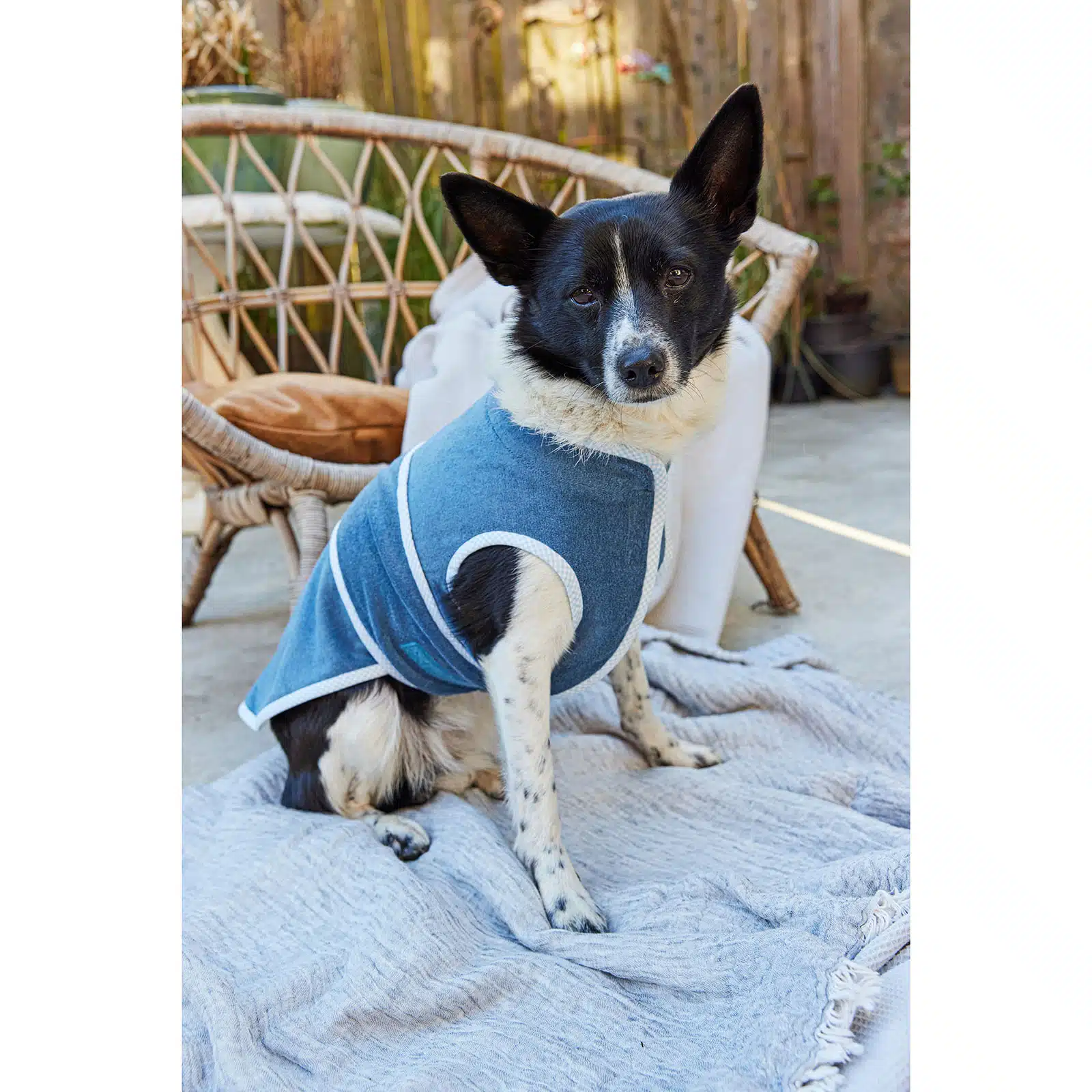 Burda Patroon 5702 - Honden Accessoires