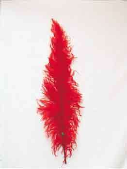 Struisveer Middel Spadona Rood 35-45cm