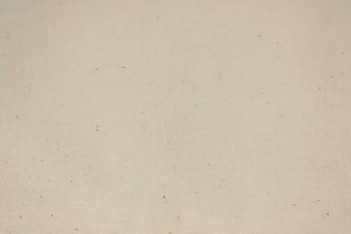 Stof Ongebleekt Katoen