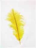 Veer Klein 30-40cm Geel