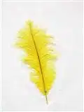 Veer Klein 30-40cm Geel