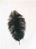 Veer Klein 30-40cm Zwart