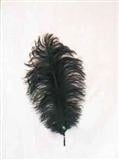 Veer Klein 30-40cm Zwart