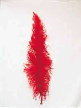 Struisveer Middel Spadona Rood 35-45cm